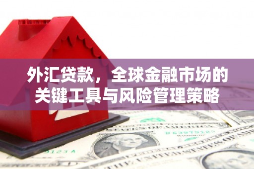 莎车外汇贷款，全球金融市场的关键工具与风险管理策略