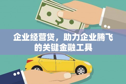 莎车企业经营贷，助力企业腾飞的关键金融工具