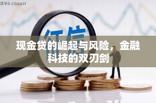 莎车现金贷的崛起与风险，金融科技的双刃剑