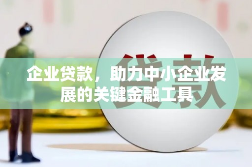 莎车企业贷款，助力中小企业发展的关键金融工具