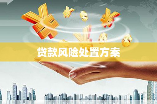 莎车贷款风险处置方案