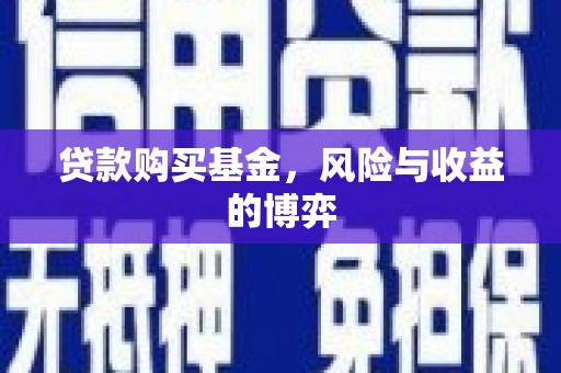 莎车贷款购买基金，风险与收益的博弈