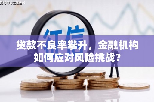 莎车贷款不良率攀升，金融机构如何应对风险挑战？