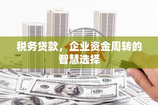 莎车税务贷款，企业资金周转的智慧选择