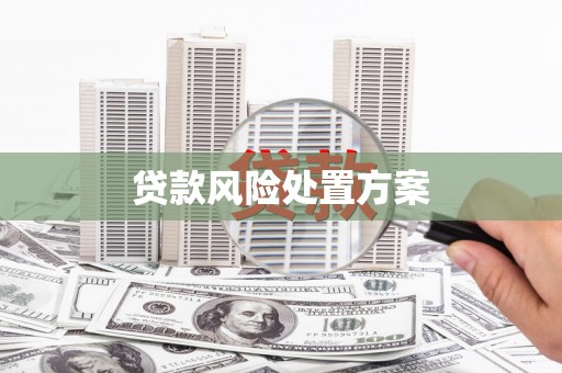 莎车贷款风险处置方案