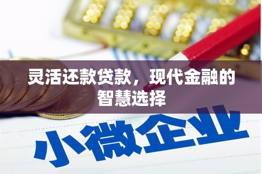 莎车灵活还款贷款，现代金融的智慧选择