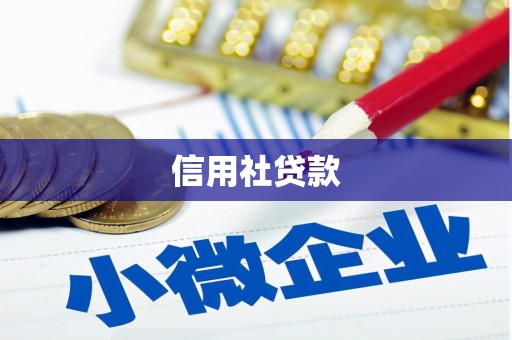 莎车信用社贷款