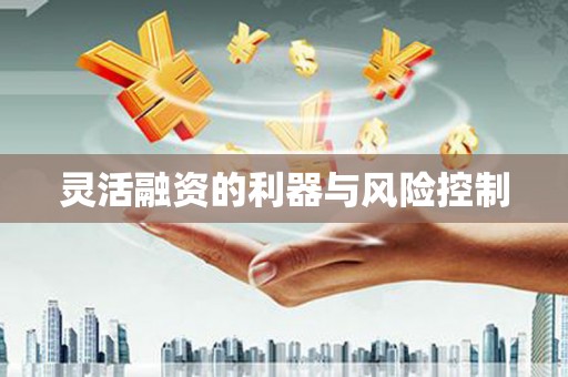 莎车灵活融资的利器与风险控制