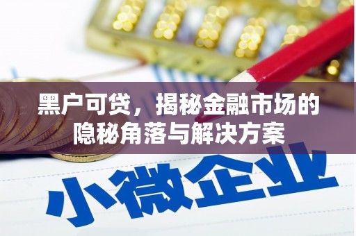 莎车黑户可贷，揭秘金融市场的隐秘角落与解决方案