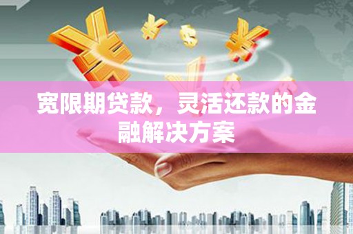 莎车宽限期贷款，灵活还款的金融解决方案