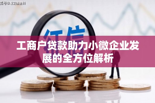 莎车工商户贷款助力小微企业发展的全方位解析