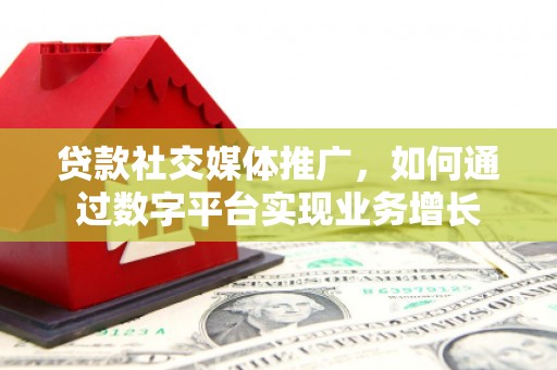 莎车贷款社交媒体推广，如何通过数字平台实现业务增长
