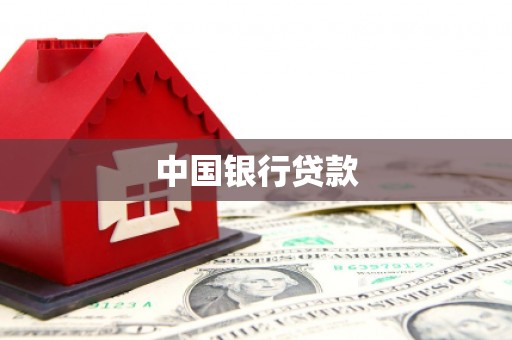 莎车中国银行贷款