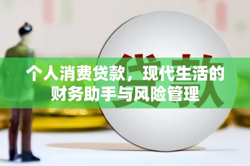 莎车个人消费贷款，现代生活的财务助手与风险管理