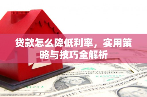莎车贷款怎么降低利率，实用策略与技巧全解析