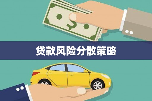 莎车贷款风险分散策略