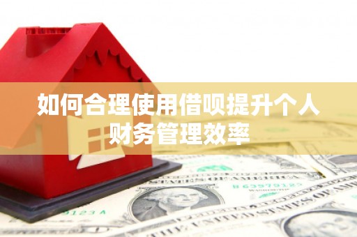 莎车如何合理使用借呗提升个人财务管理效率