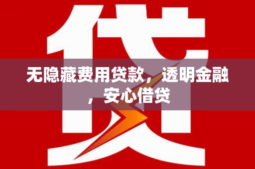 莎车无隐藏费用贷款，透明金融，安心借贷