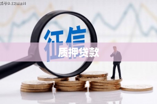 莎车质押贷款