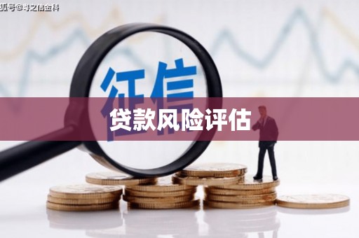 莎车贷款风险评估