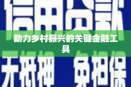 莎车助力乡村振兴的关键金融工具