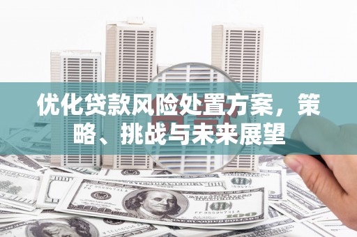 莎车优化贷款风险处置方案，策略、挑战与未来展望