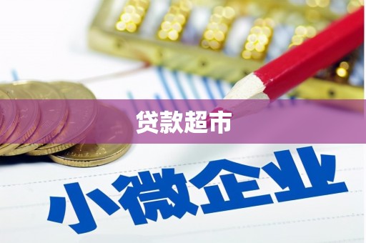 莎车贷款超市