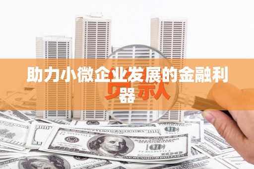 莎车助力小微企业发展的金融利器