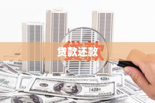 莎车贷款还款