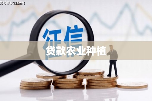 莎车贷款农业种植