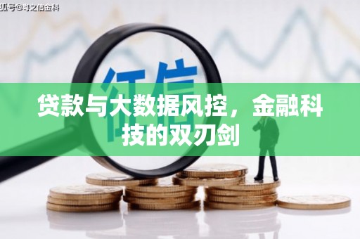 莎车贷款与大数据风控，金融科技的双刃剑