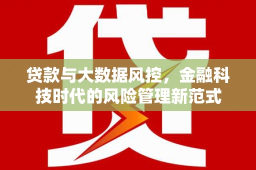 莎车贷款与大数据风控，金融科技时代的风险管理新范式