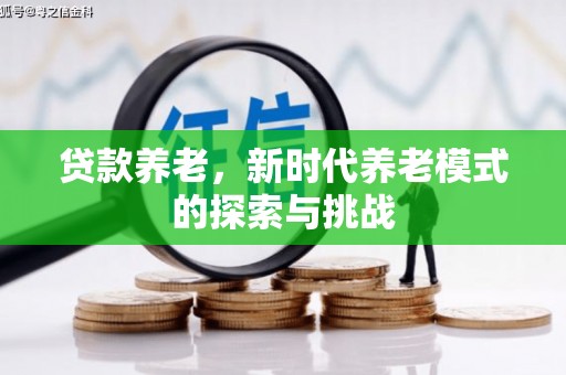 莎车贷款养老，新时代养老模式的探索与挑战