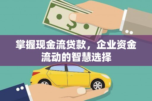 莎车掌握现金流贷款，企业资金流动的智慧选择