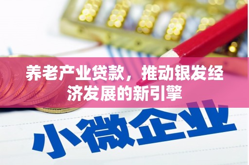 莎车养老产业贷款，推动银发经济发展的新引擎