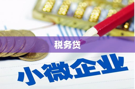 莎车税务贷