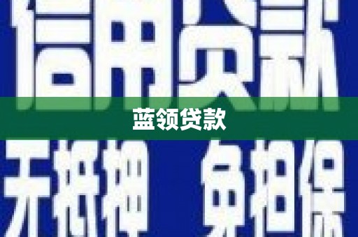莎车蓝领贷款