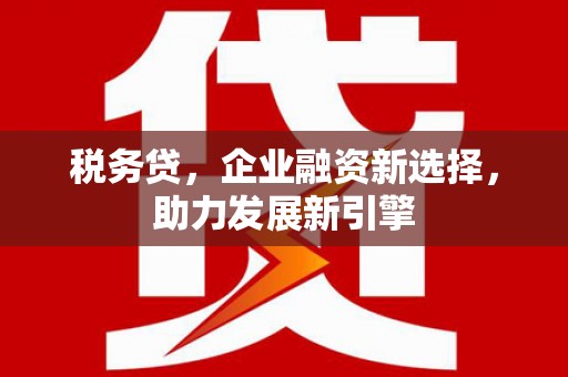 莎车税务贷，企业融资新选择，助力发展新引擎
