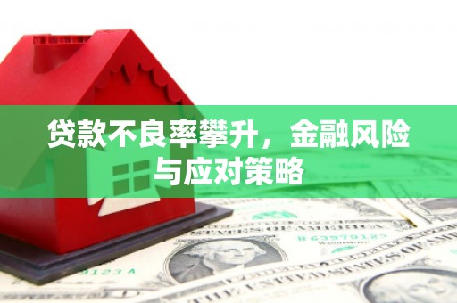莎车贷款不良率攀升，金融风险与应对策略