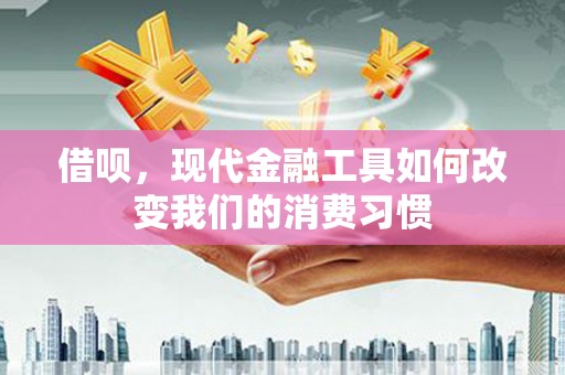 莎车借呗，现代金融工具如何改变我们的消费习惯