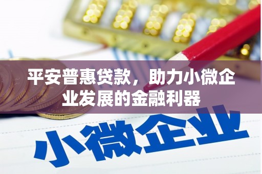 莎车平安普惠贷款，助力小微企业发展的金融利器