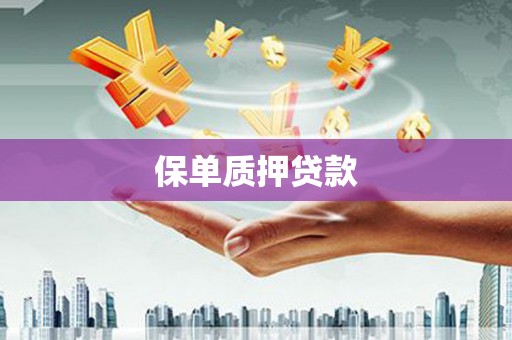 莎车保单质押贷款
