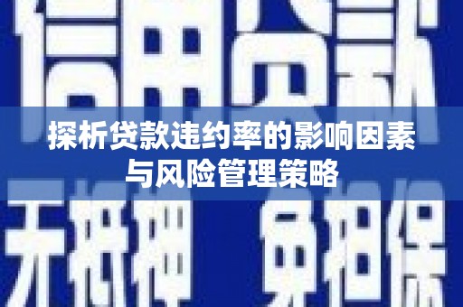 莎车探析贷款违约率的影响因素与风险管理策略