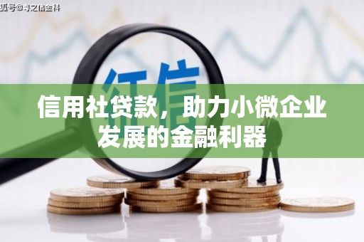 莎车信用社贷款，助力小微企业发展的金融利器