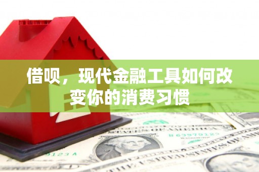 莎车借呗，现代金融工具如何改变你的消费习惯