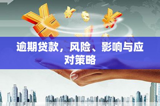 莎车逾期贷款，风险、影响与应对策略