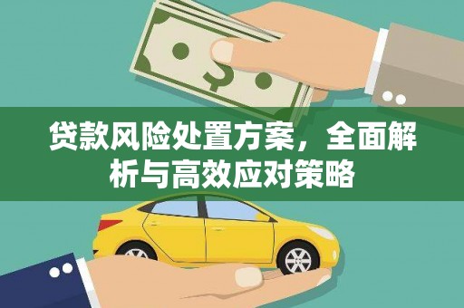 莎车贷款风险处置方案，全面解析与高效应对策略