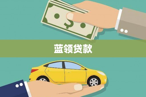 莎车蓝领贷款