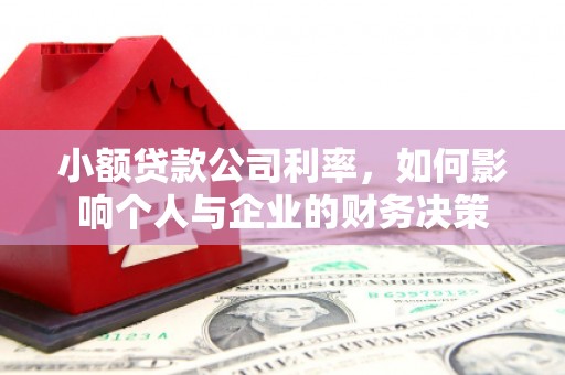 莎车小额贷款公司利率，如何影响个人与企业的财务决策