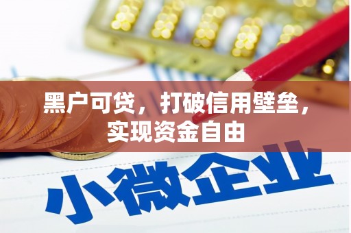 莎车黑户可贷，打破信用壁垒，实现资金自由